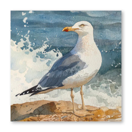 Seagull Print