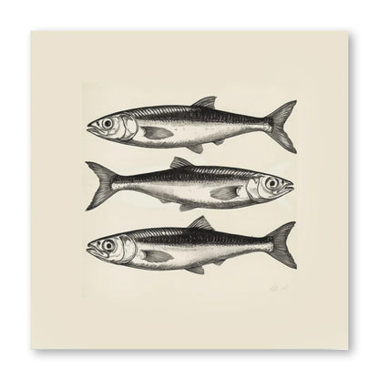 Three Sardine Print
